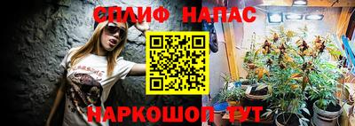 мяу мяу мука Малоярославец
