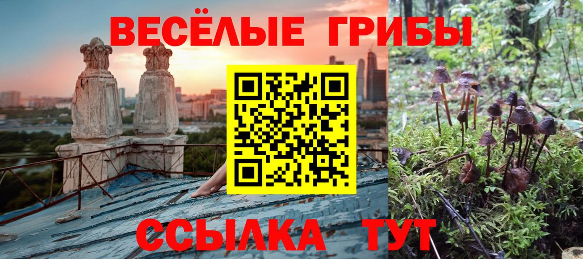 Галлюциногенные грибы Psilocybe  Вход с VPN  Галлюциногенные грибы MAGIC MUSHROOMS  даркнет сайт  Якутск 